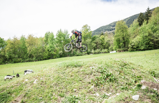 Springen & Droppen
