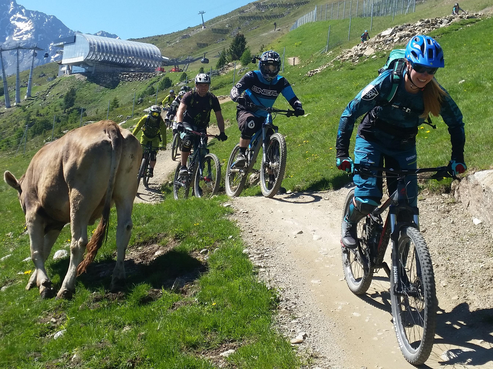 Mountainbiker on the Teäre Line